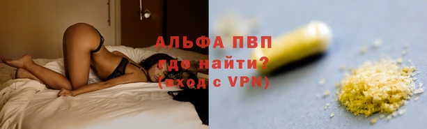 амф Белоозёрский