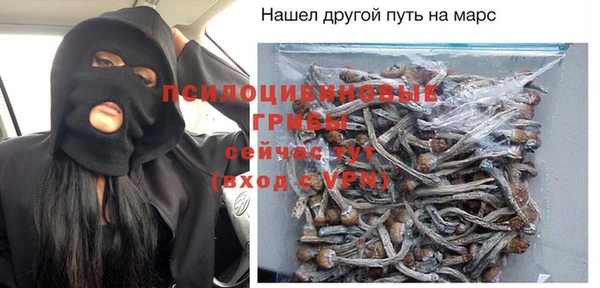 бошки Струнино