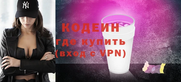 прущий лед Богданович